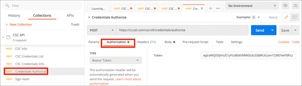 Authorization tab